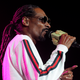 Illustration for article titled Here's Your New Snoop Dogg, Pharrell and Stevie Wonder Collaboration